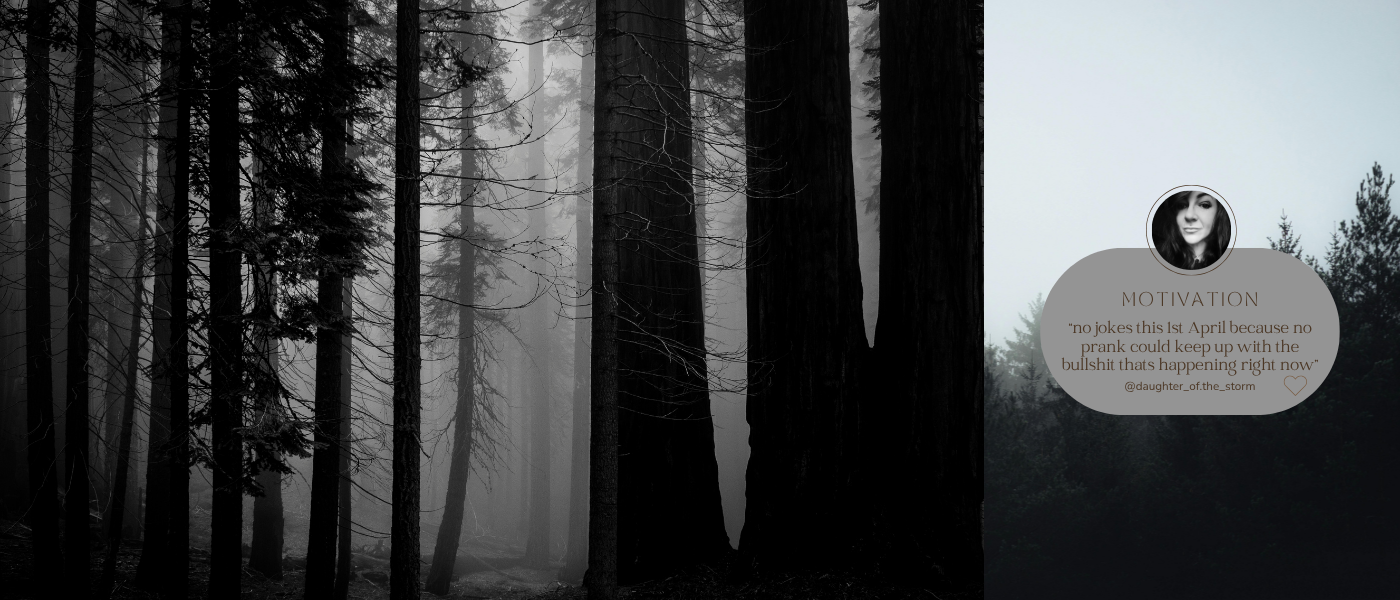 Und wenn für Instagram & Co. mal die Worte fehlen? Kein Thema. Schreibt mir, ich finde die passenden Worte und das passende Bild.