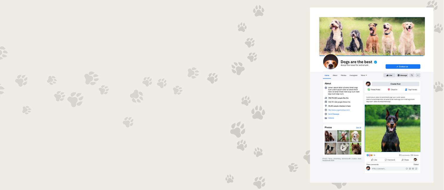 Ich lese Social-Media-Beiträge sorgfältig Korrektur, um sicherzustellen, dass sie fehlerfrei, stilistisch ansprechend und klar verständlich sind.